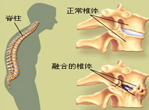 QQ截图20160301092248.png